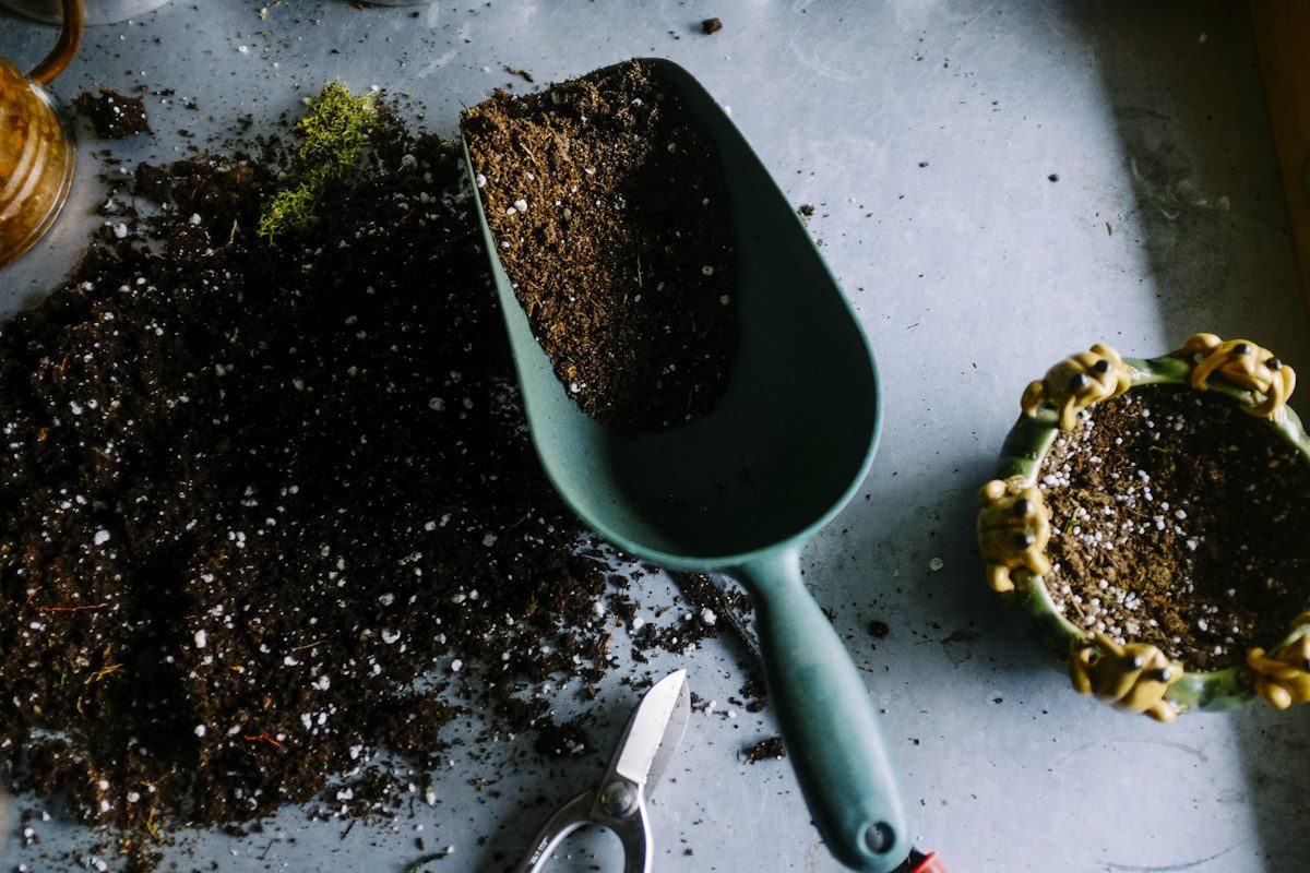 Gardening tools and soil in a vegetable bed