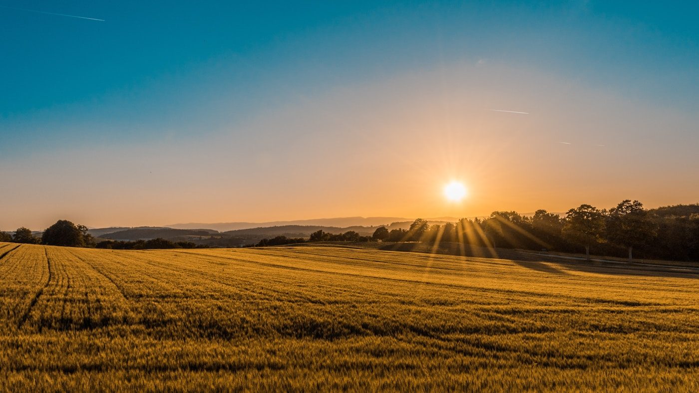 Green British farmland under a wide sky
